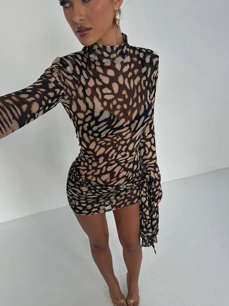 Beck Sexy Sheer Leopard Dress